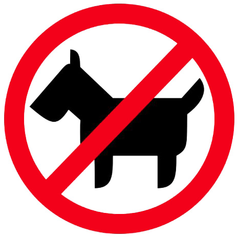 No Dog